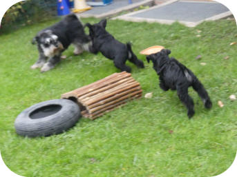 Cäthe spielt mit ihren Kindern